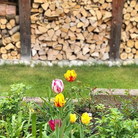 Casa Loft & Lamansarda 펜션 찌른도르프