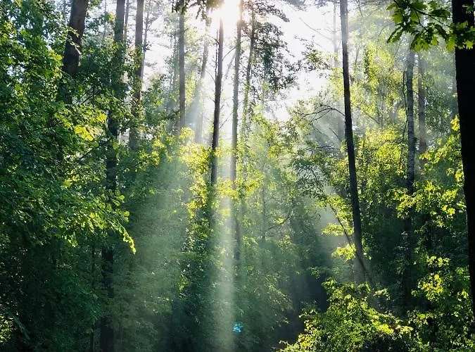 Casa Loft & Lamansarda * Zirndorf